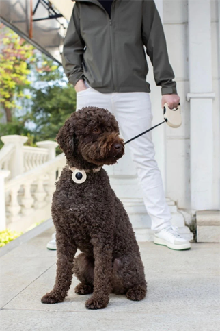 Zoe Pet Atelier Air Tag Kılıfı - Bej