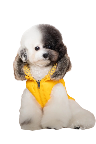 Puppia Hollis Tersyüz Kürklü Kapüşonlu Köpek Montu Sarı