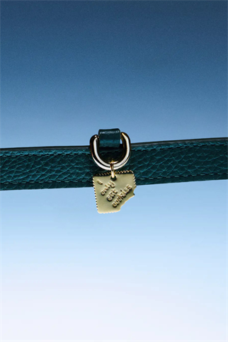 I Only Eat Cookies Charm Tasma Aksesuarı