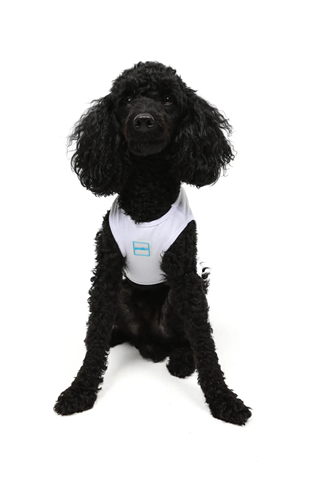 Goodboi Sailing Team Atlet Beyaz