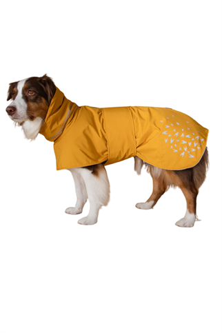 Asky&Erd Seattle StormGuard Coat  Yağmurluk Mustard Fog