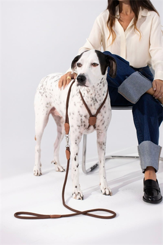 Zoe Pet Atelier Loop Köpek Gezdirme Kayışı Espresso Kahverengi