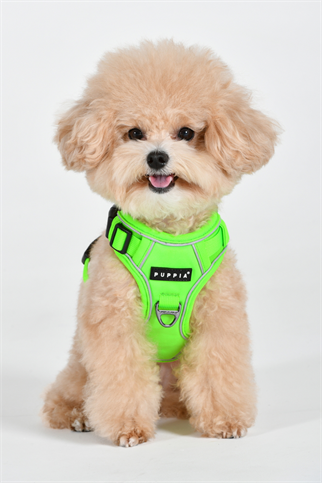 Puppia Neon Harness H Göğüs Tasması Yeşil