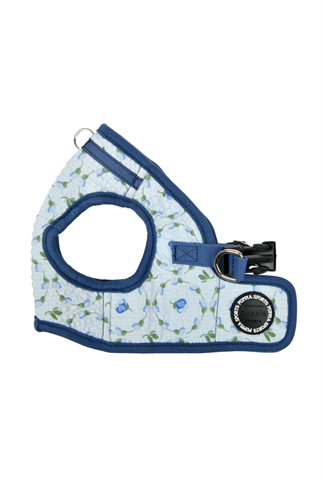 Florian Harness B Köpek Göğüs Tasması Mavi