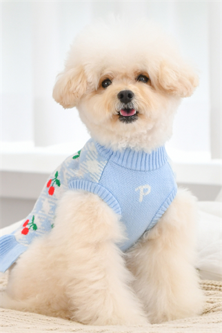 Puppia Rio Örgü Köpek Elbisesi Mavi