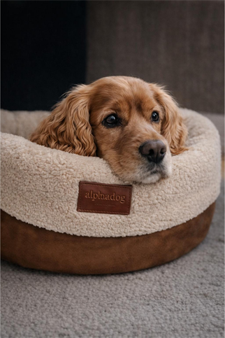 Alphadog Design Halobed Terra Köpek Yatağı