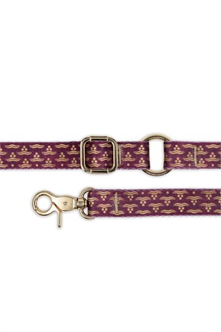 Lupinus Atelier Flexus Cerasus x Chintamani Köpek Gezdirme Kayışı