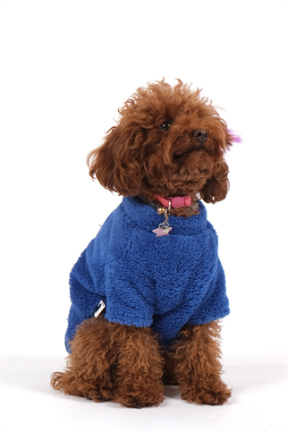 Doredog Mavi Ayıcıklı Peluş Sweatshirt