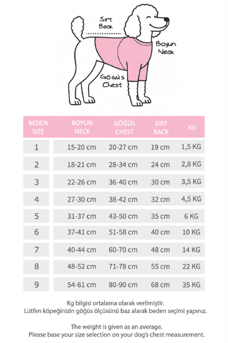 Lolidogs Basics | Cupid
