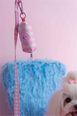 Lolidogs Poop Bag | Picnic