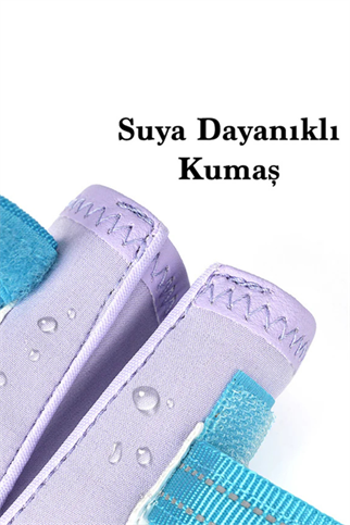 Truelove Köpek Ayakkabısı Mavi-Lila