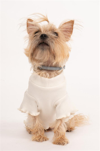 Doredog Krem Kaşkorse Sweatshirt