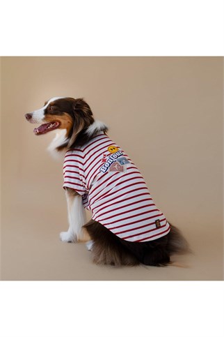 Asky&Erd Bonjour Paris Köpek T-Shirt | Rouge Breton