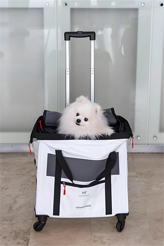 Ferplast Voyager 450 Tekerlekli Evcil Hayvan Taşıma Çantası Beyaz 46x26x48cm