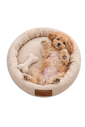 Alphadog Design Halobed Almond Köpek Yatağı