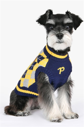 Puppia Gizmo Göğüs Tasması Sarı