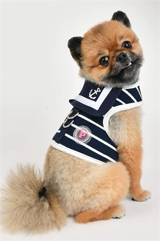 Pinkaholic New York Cordelia Pinka Harness Göğüs Tasması Lacivert