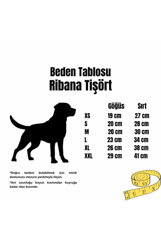 Goodboi Mavi Pırlantalı Ribana Tişört