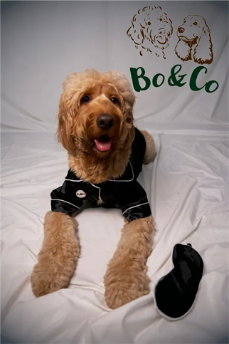 Bo&Co Siyah Saten Pijama