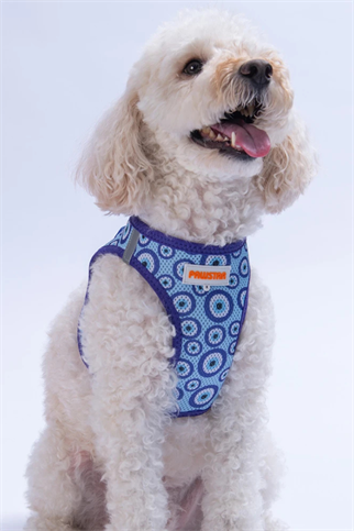 PawStar Nazar Boncuklu Köpek Göğüs Tasması 