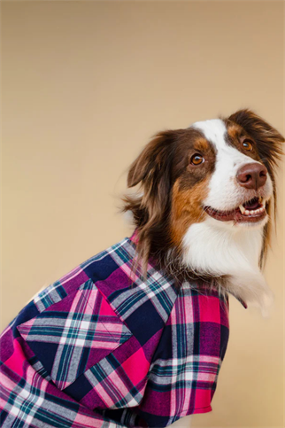 Asky&Erd Plaid Shirt Midnight Berry