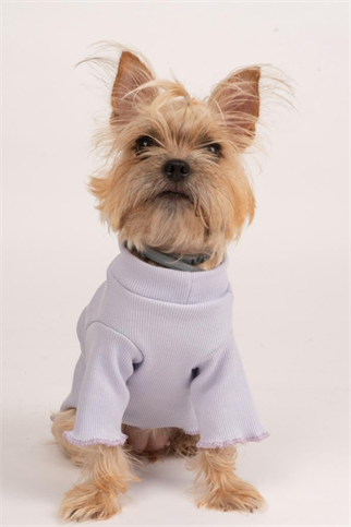 Doredog Lila Kaşkorse Tshirt