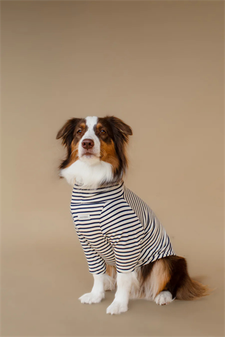 Asky&Erd Turtleneck Tshirt | Coastal Navy