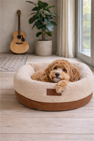 Alphadog Design Halobed Terra Köpek Yatağı