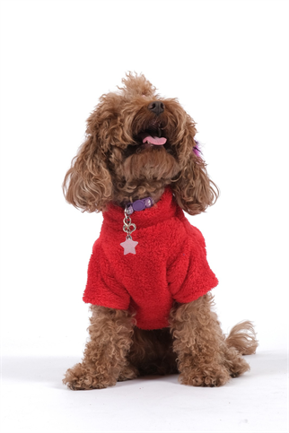 Doredog Kırmızı Ayıcıklı Peluş Sweat