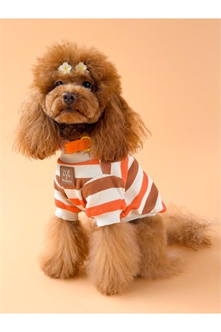 Zoë Pet Atelier × Lolidogs Basic Stripe Köpek Kıyafeti