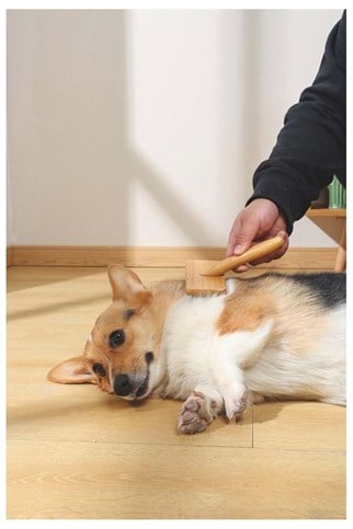 M-Pets Bamboo İnce Telli Köpek Fırçası 