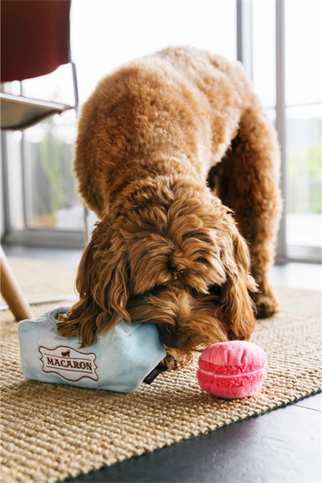 Play San Francisco Mutt-a-rons Köpek Oyuncağı