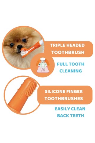 Our Dogs Life Dental Care Kit Köpek Diş Bakım Seti