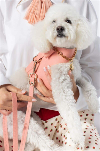 Zoe Pet Atelier Vest Harness Köpek Göğüs Tasması Şeker Pembe