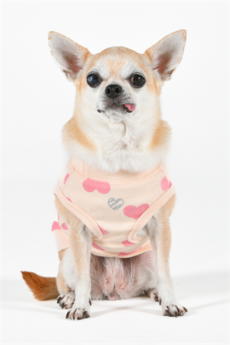 Pinkaholic New York Sonata Of Love Kolsuz T-shirt Açık Pembe 