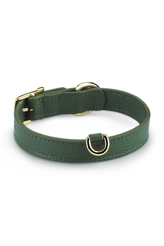 Duke Viridis Köpek Boyun Tasması