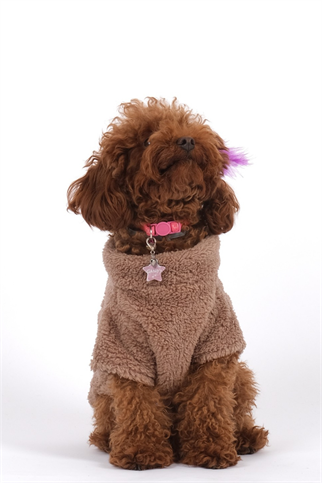 Doredog Taba Ayıcıklı Peluş Sweatshirt