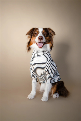 Asky&Erd Turtleneck Tshirt | Classic Stripe
