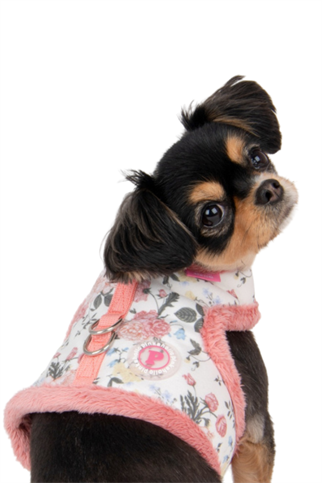 Pinkaholic New York Calla Pinka Harness Köpek Göğüs Tasması Ivory