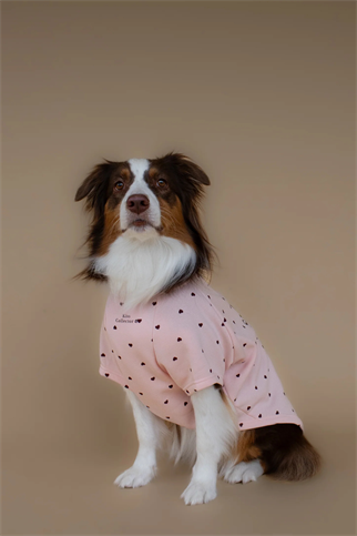 Asky&Erd Kiss & Snuggle Club Sweatshirt | Rose Mist