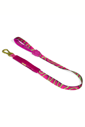 Zee.Dog House of 3D Jelly Airleash Gezdirme Tasması