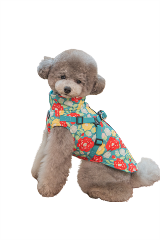 Puppia Alyssa Kışlık Köpek Tulumu - Aqua