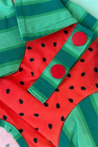 Lolidogs Köpek Gömleği Watermelon Boy