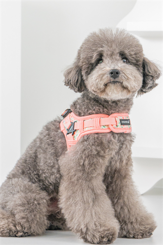 Lilac Harness X Köpek Göğüs Tasması Pembe 
