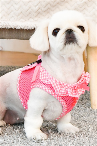 Vivien Harness B Köpek Göğüs Tasması Pembe  