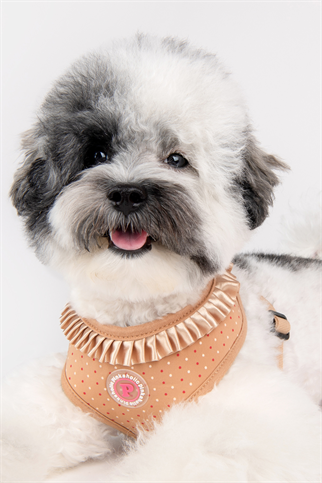 Pinkaholic New York Mila Harness Göğüs Tasması Bej