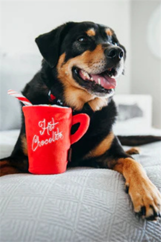 Play San Francisco Hot Chocolate Köpek Oyuncağı