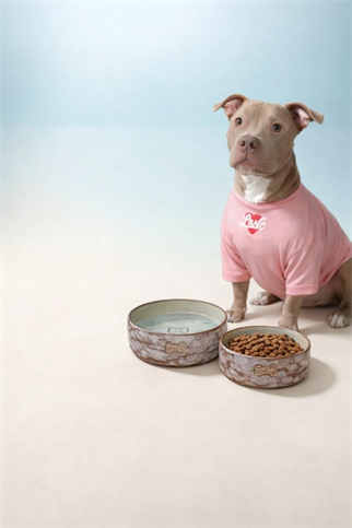 Feza Seramik Mama Kasesi Seti Beyaz/Sarı