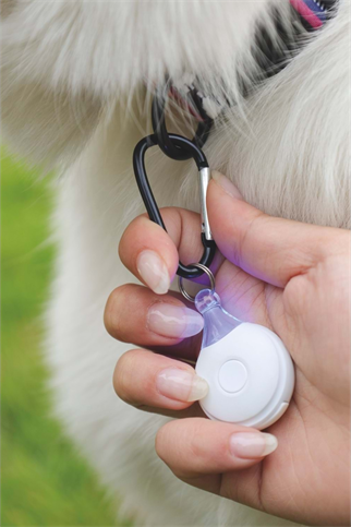 M-Pets Fearless Ultrasonic Pire ve Kene Kovucu Beyaz