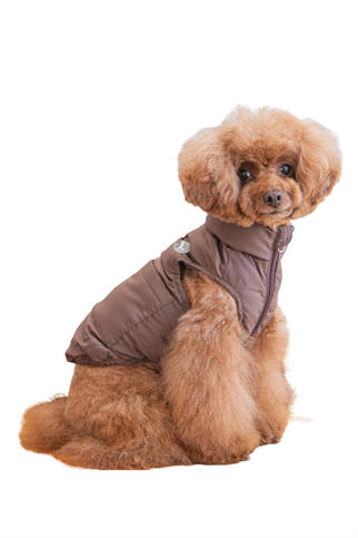 Puppia Puffer Vest Jumper Köpek Tulumu - Kahverengi